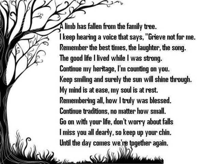 family tree quotes poems